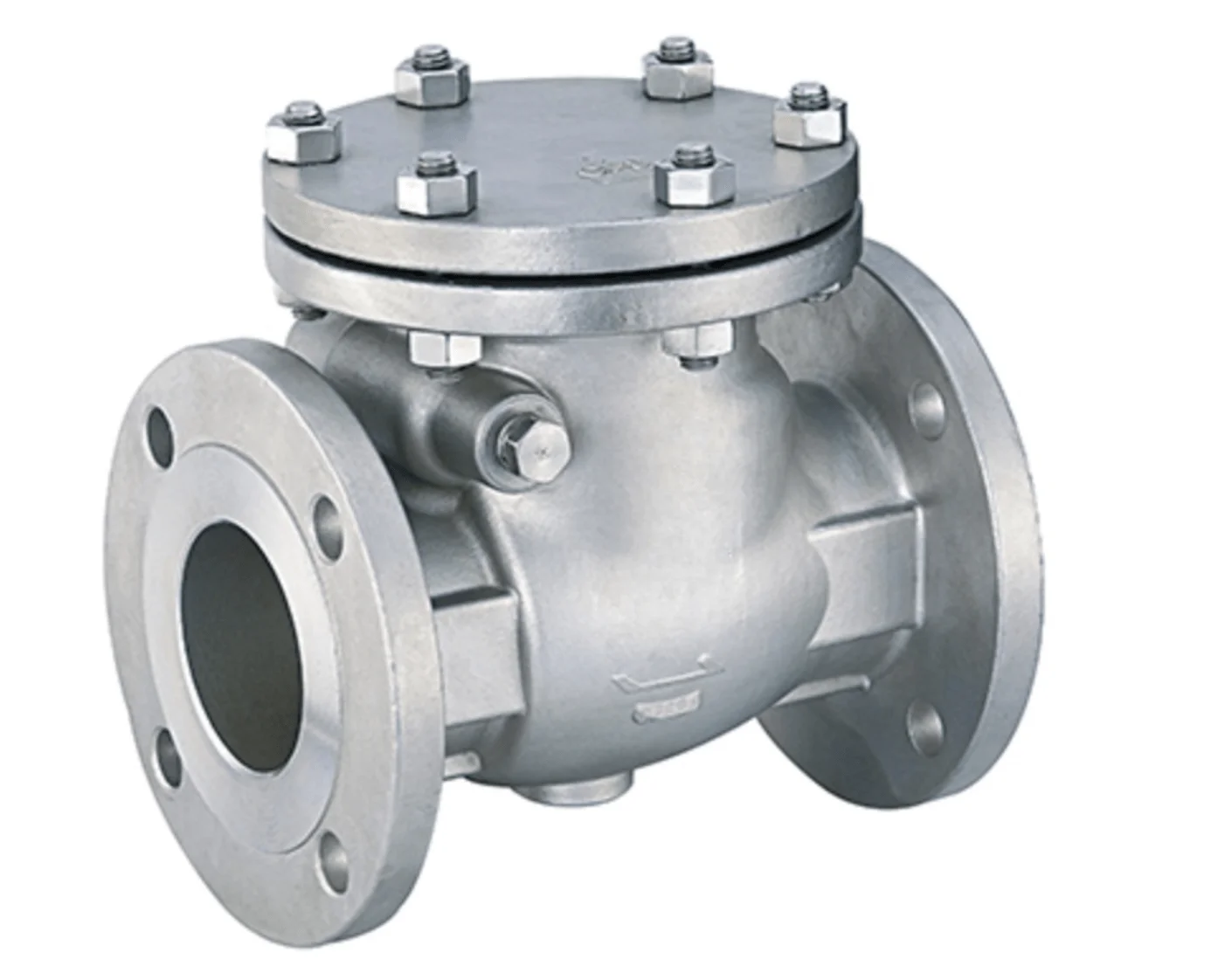 Cast stainless steel reverse check valve